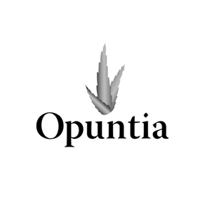 WIE HP CD Logo UPUNTIA 2